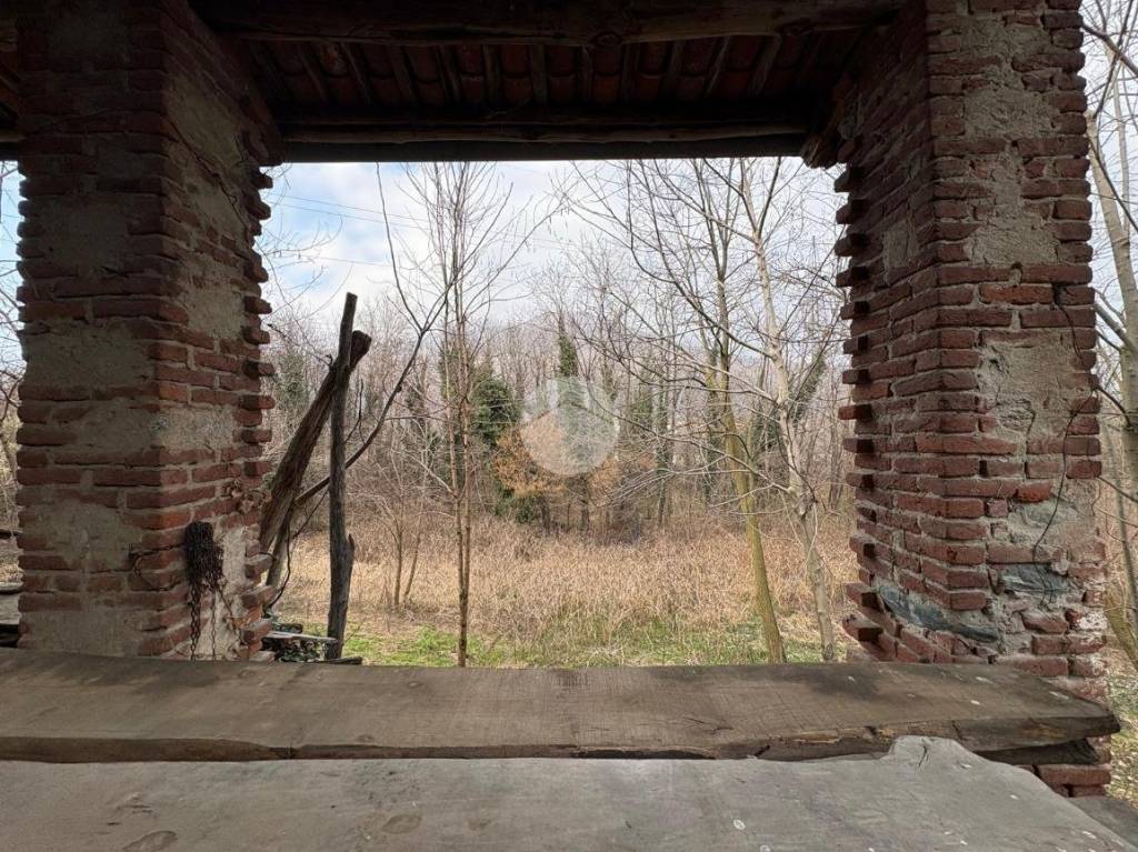 immagine annuncio 6 di 11