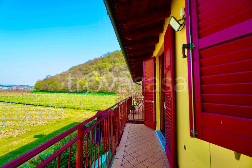 immagine annuncio 12 di 15