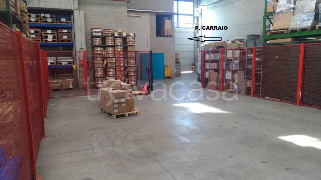 immagine annuncio 9 di 15