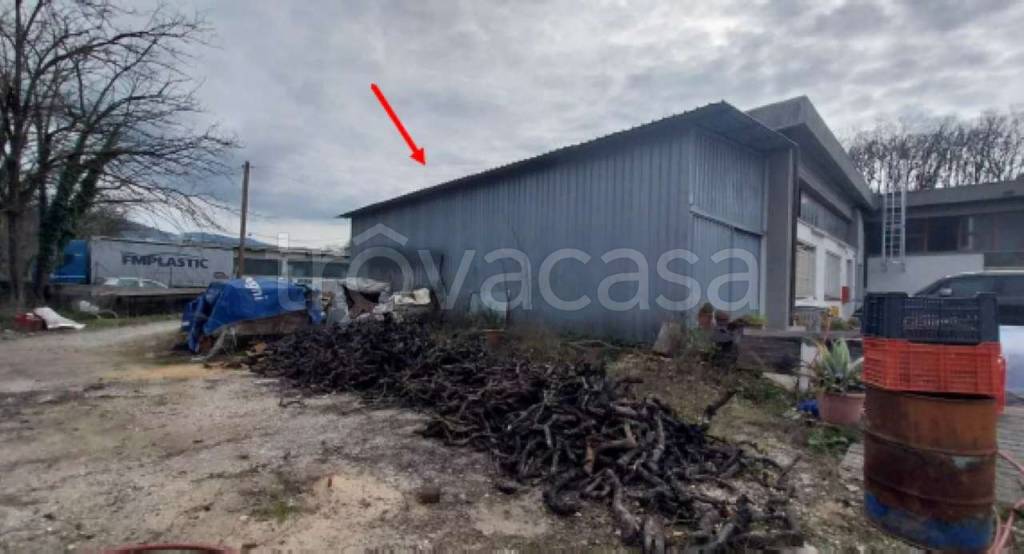 immagine annuncio 2 di 12