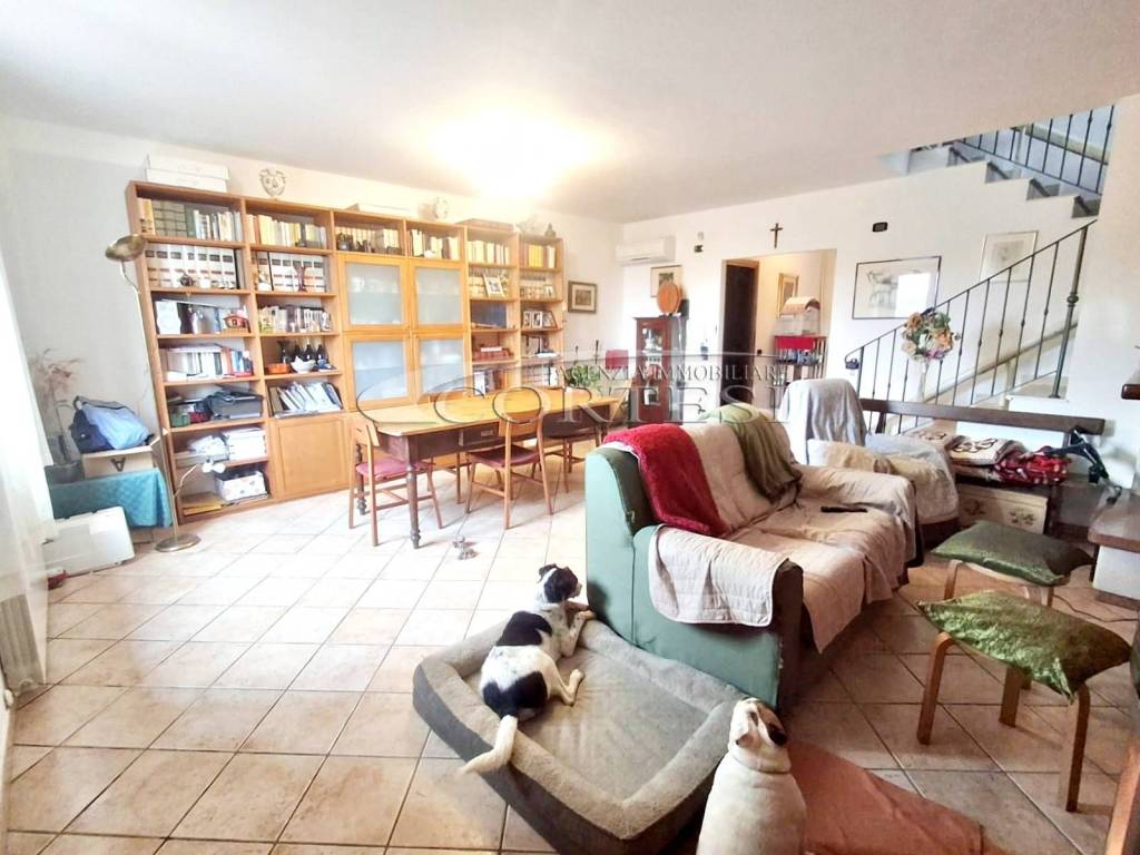 immagine annuncio 2 di 15