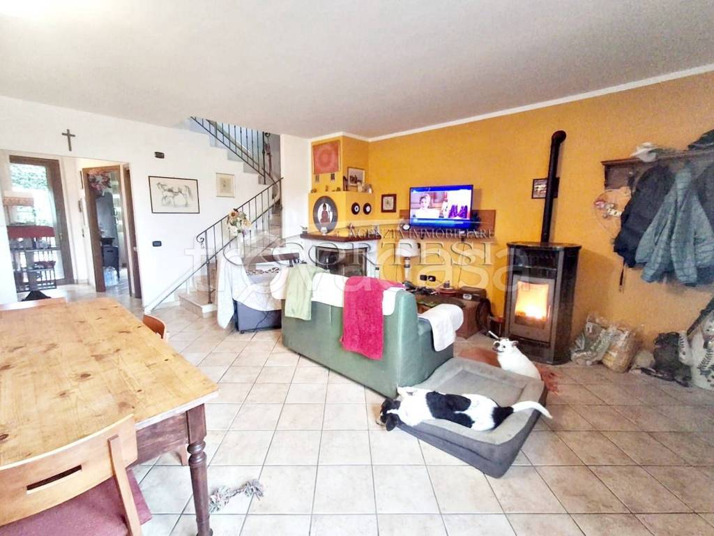 immagine annuncio 6 di 15