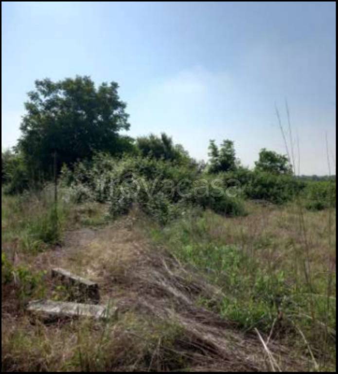 immagine annuncio 10 di 13