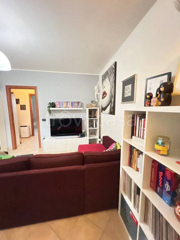 immagine annuncio 5 di 15