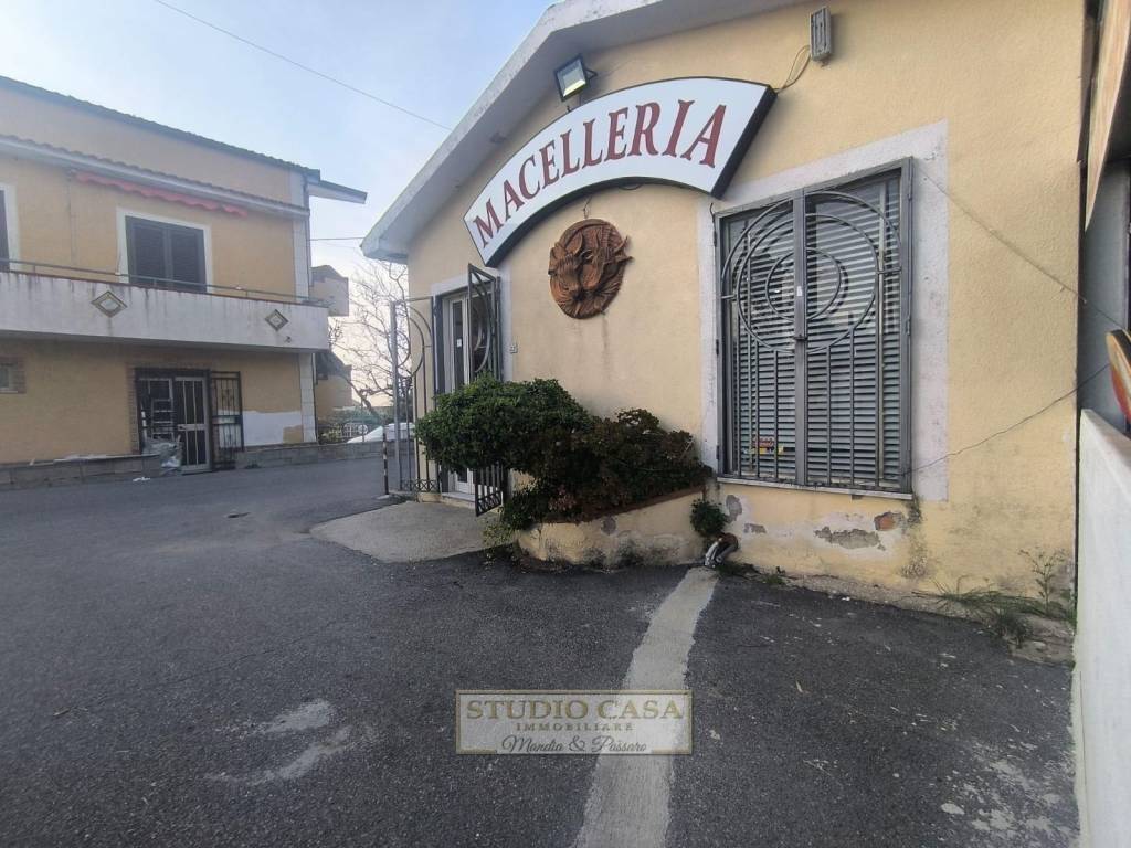 immagine annuncio 3 di 4