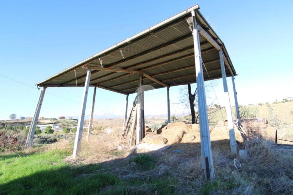 immagine annuncio 12 di 13