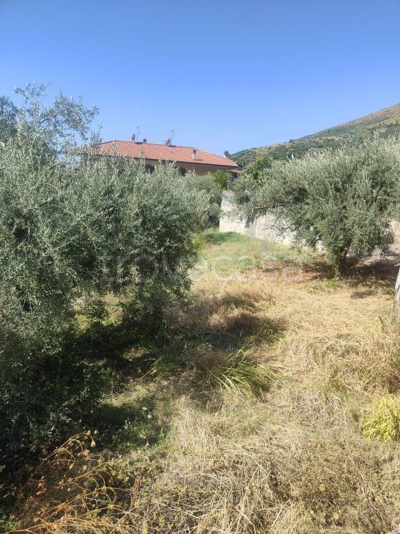 immagine annuncio 3 di 4