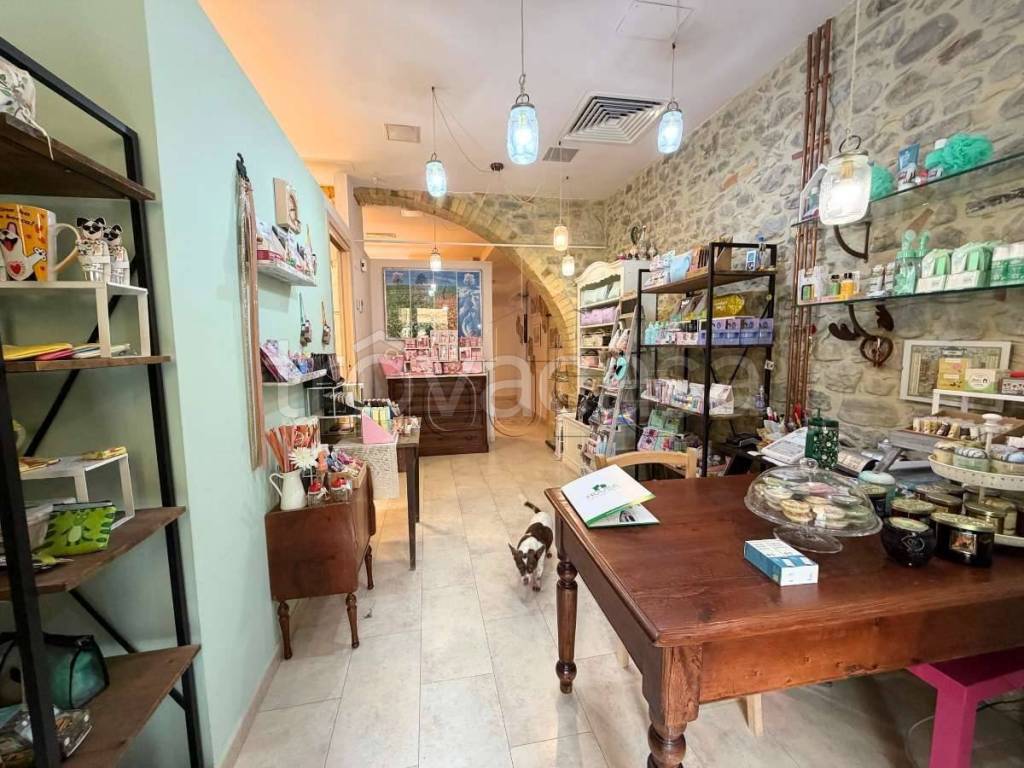 immagine annuncio 10 di 12