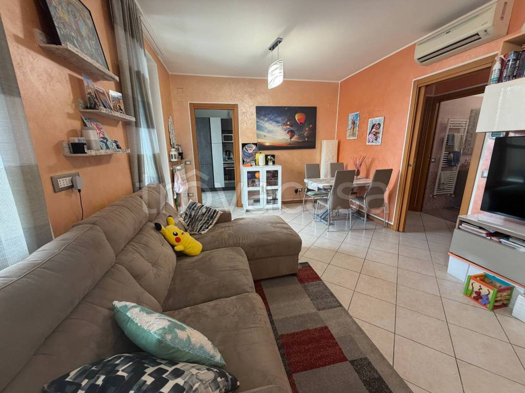 immagine annuncio 3 di 15