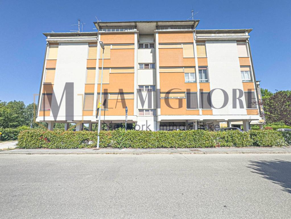 immagine annuncio 1 di 15