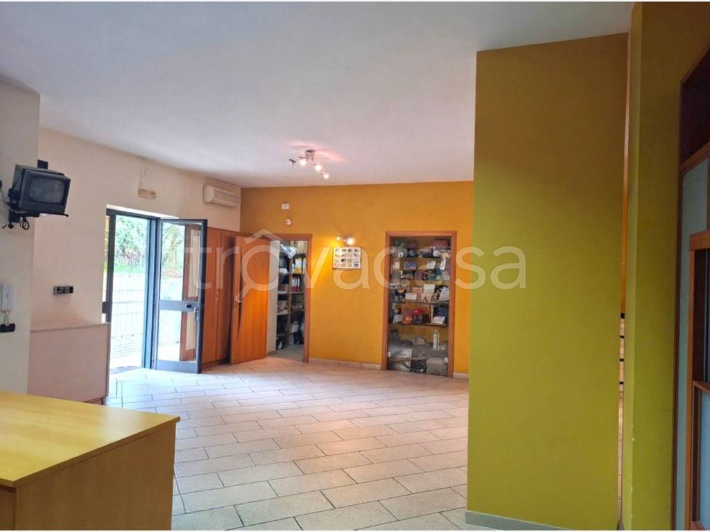 immagine annuncio 1 di 9