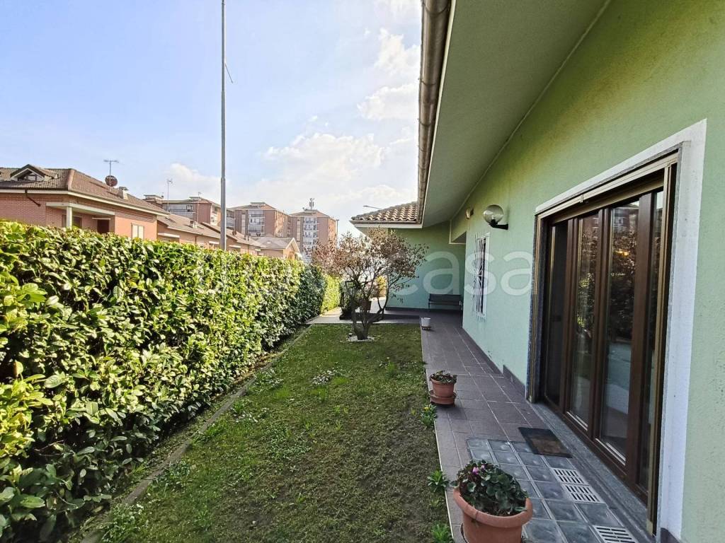 immagine annuncio 1 di 15