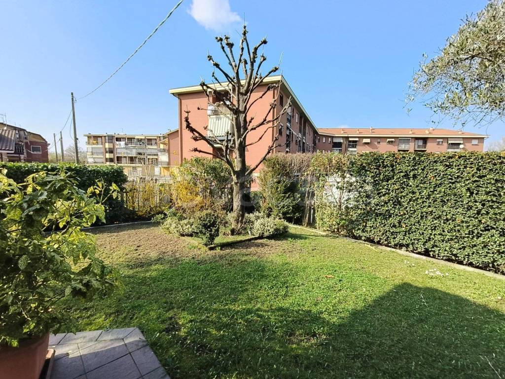 immagine annuncio 3 di 15