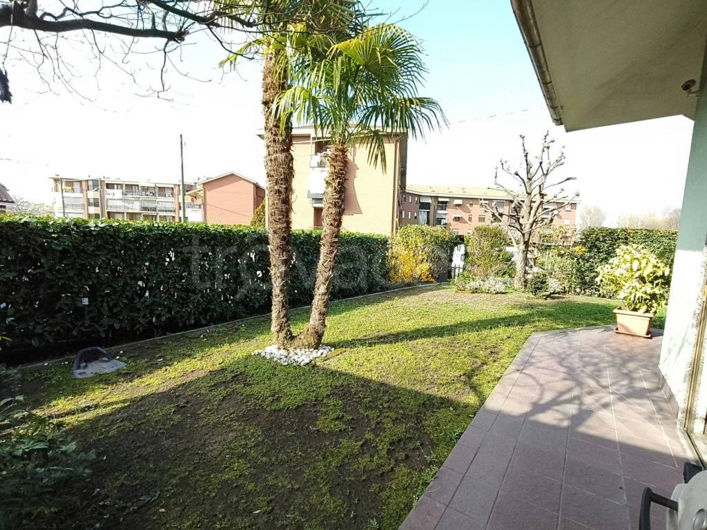 immagine annuncio 4 di 15