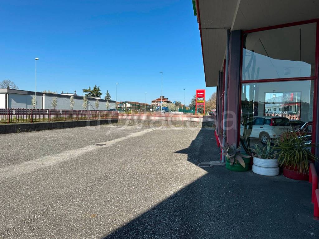 immagine annuncio 1 di 12