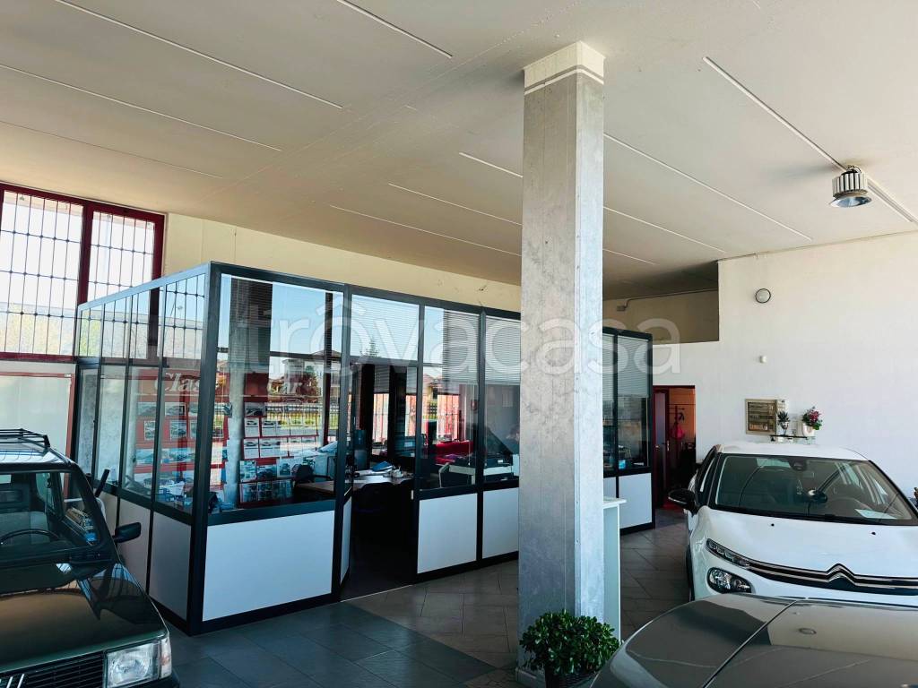 immagine annuncio 10 di 12