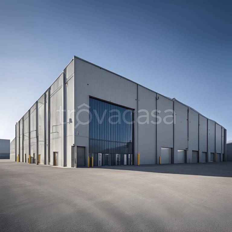 immagine annuncio 7 di 14