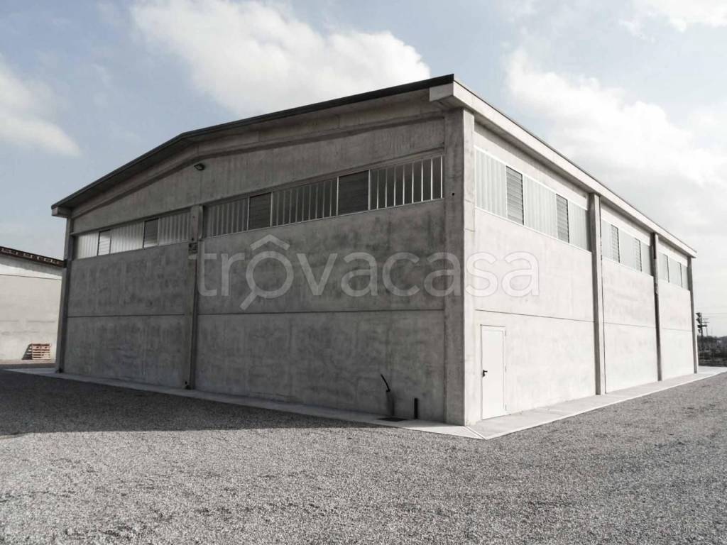 immagine annuncio 9 di 14