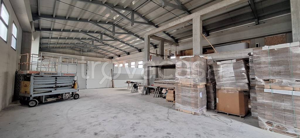 immagine annuncio 5 di 12