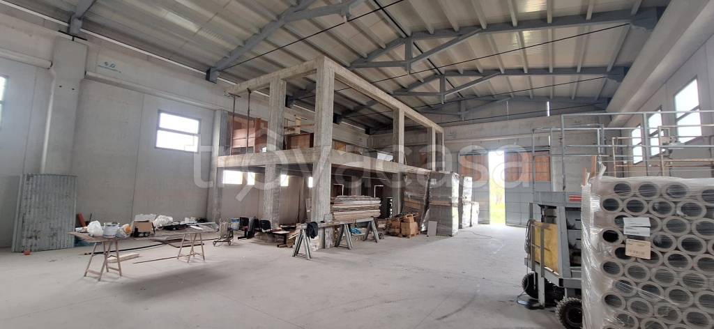 immagine annuncio 6 di 12