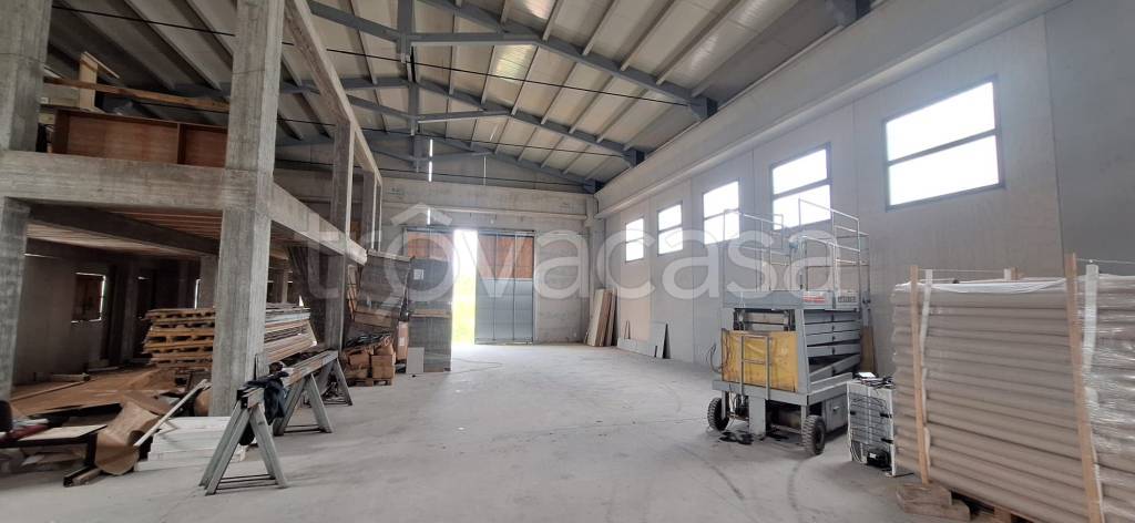 immagine annuncio 7 di 12