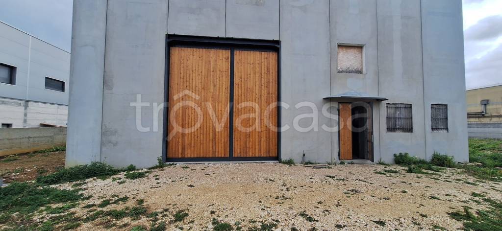 immagine annuncio 8 di 12