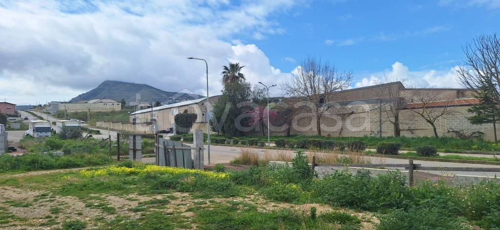 immagine annuncio 9 di 12