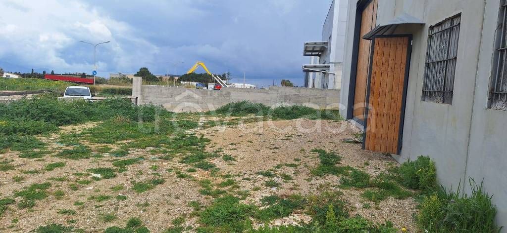 immagine annuncio 10 di 12