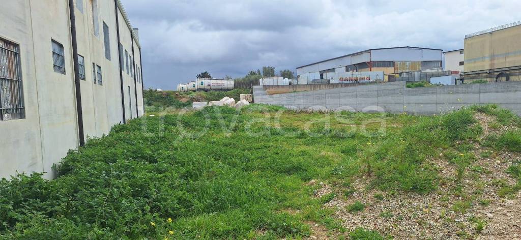 immagine annuncio 11 di 12