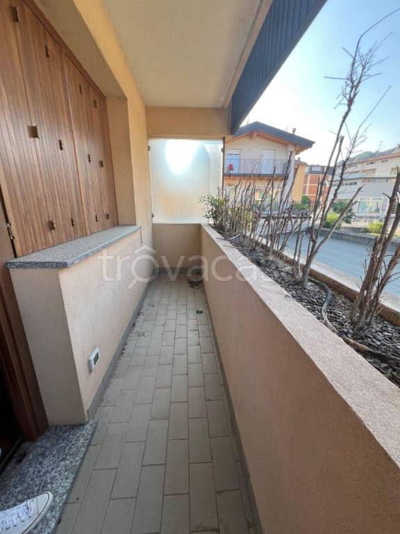 immagine annuncio 6 di 12