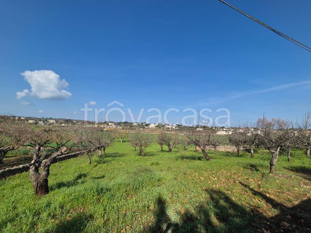 immagine annuncio 3 di 9