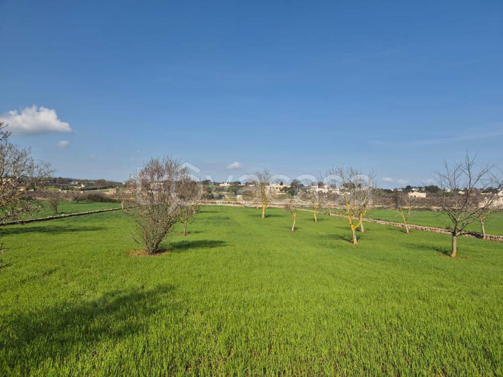 immagine annuncio 4 di 9