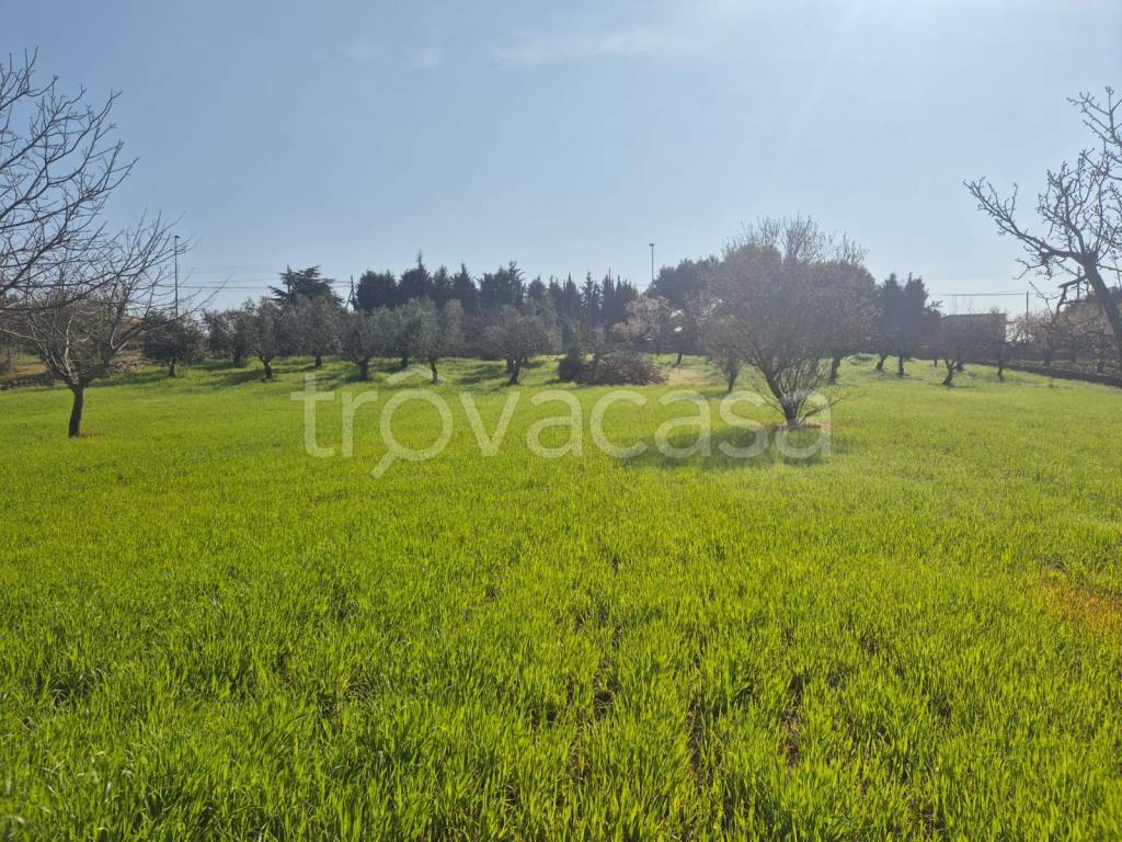 immagine annuncio 5 di 9