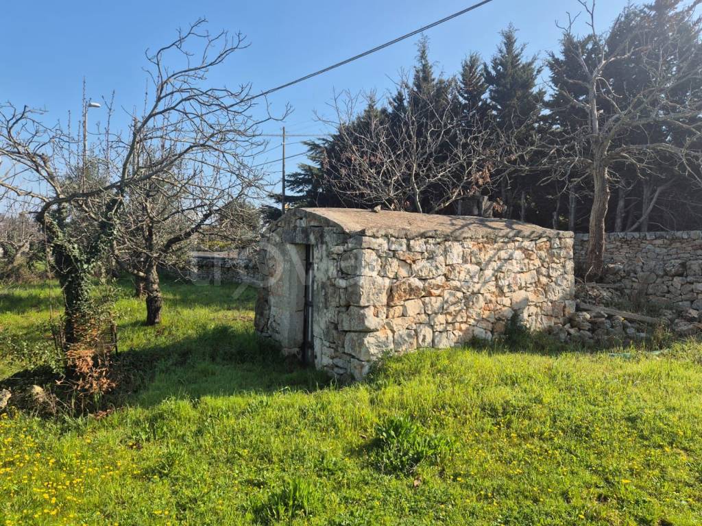 immagine annuncio 6 di 9