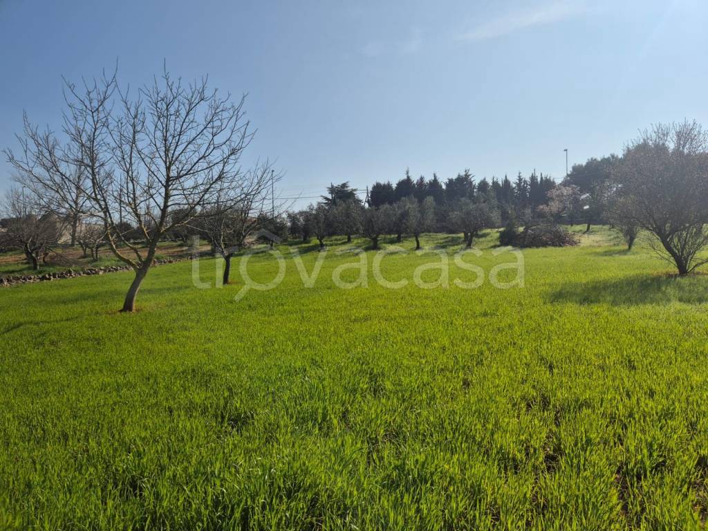 immagine annuncio 8 di 9