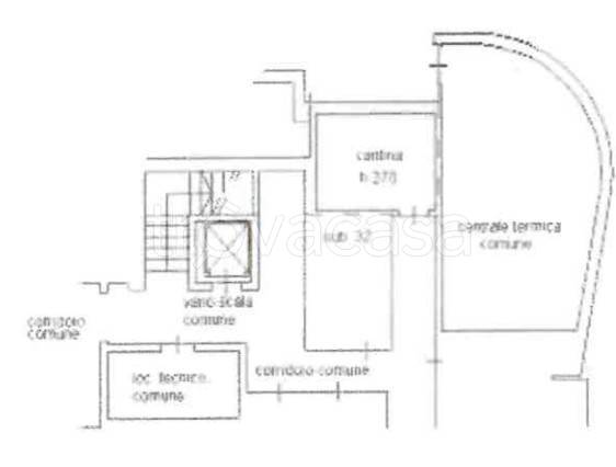 immagine annuncio 9 di 12