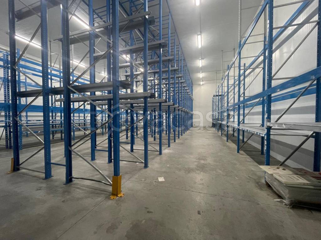 immagine annuncio 2 di 4