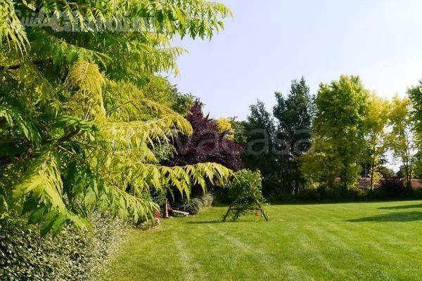 immagine annuncio 8 di 14