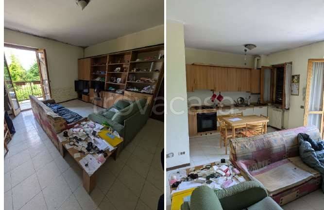 immagine annuncio 3 di 8