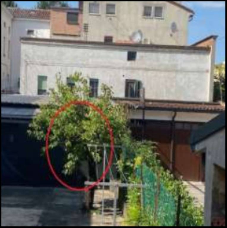 immagine annuncio 9 di 12