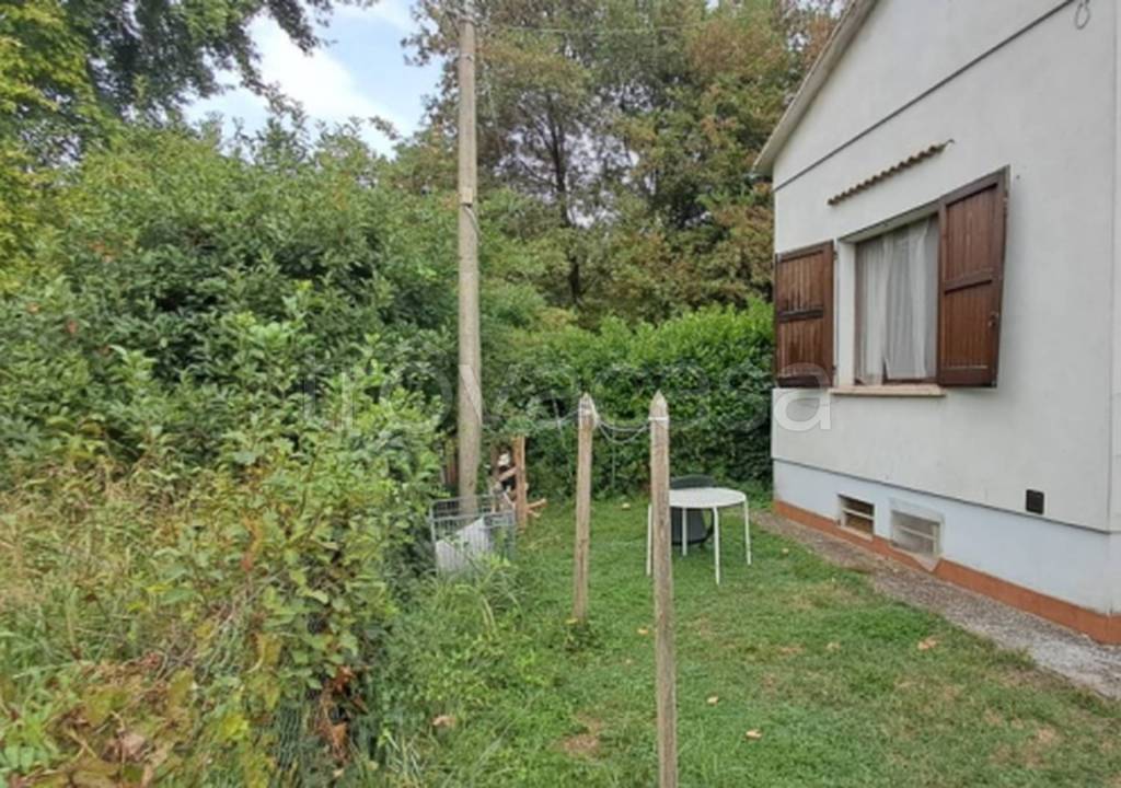 immagine annuncio 3 di 11