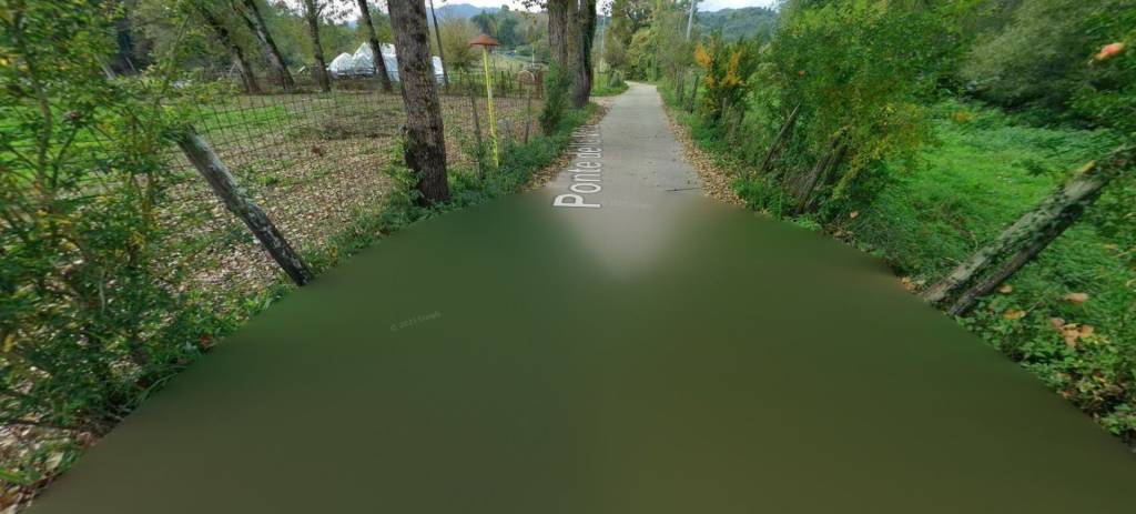 immagine annuncio 6 di 11