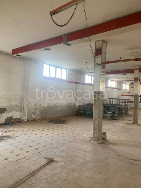 immagine annuncio 5 di 11