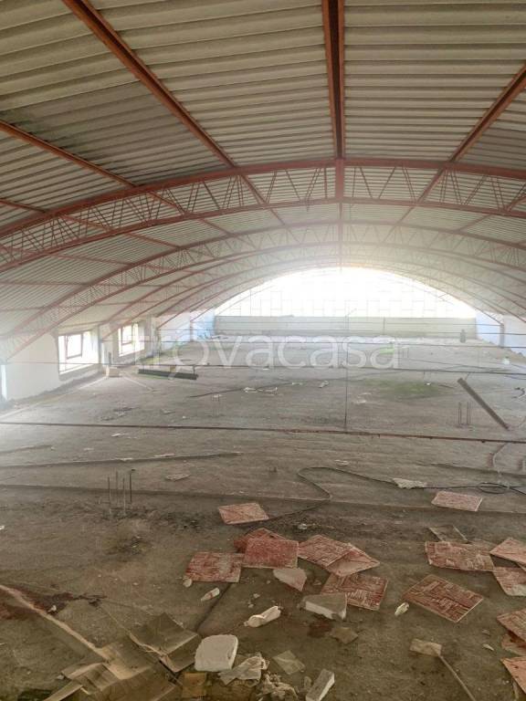 immagine annuncio 6 di 11