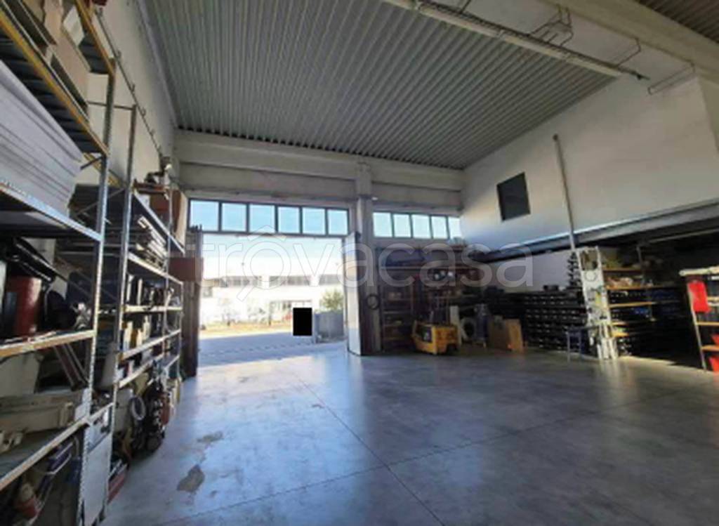 immagine annuncio 1 di 12