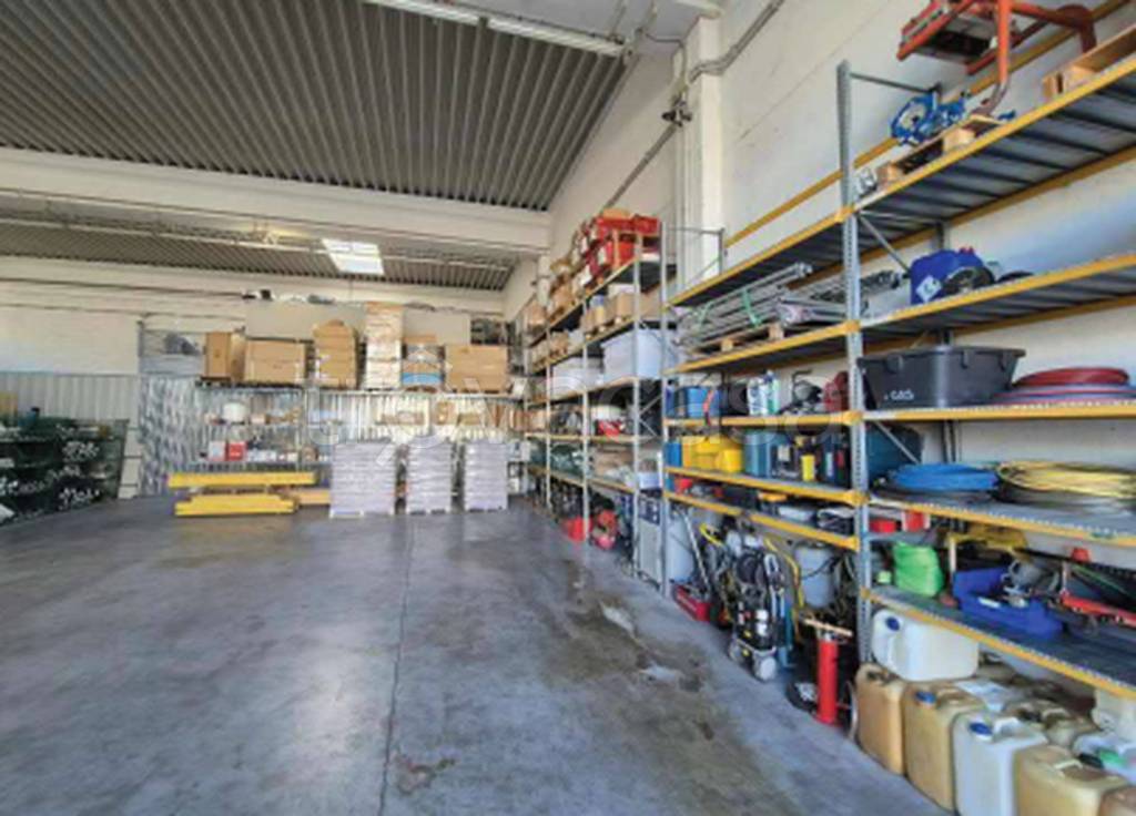 immagine annuncio 3 di 12