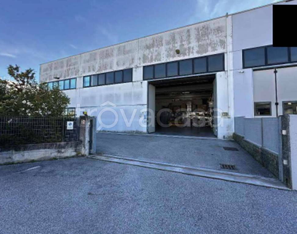 immagine annuncio 6 di 12