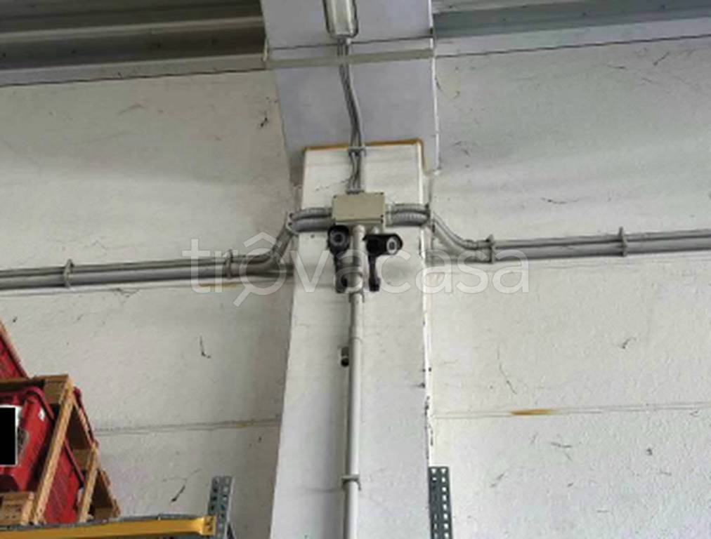 immagine annuncio 11 di 12