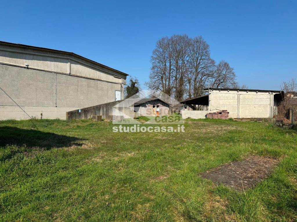 immagine annuncio 1 di 15