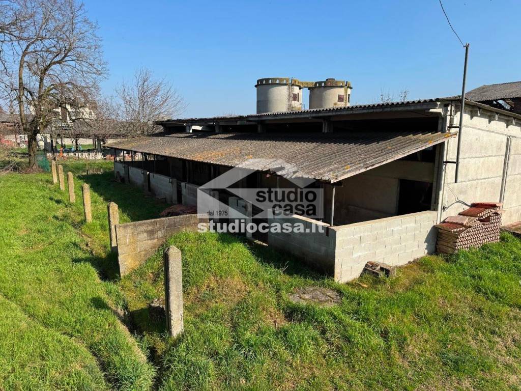 immagine annuncio 5 di 15